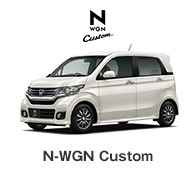 N-WGNCustom